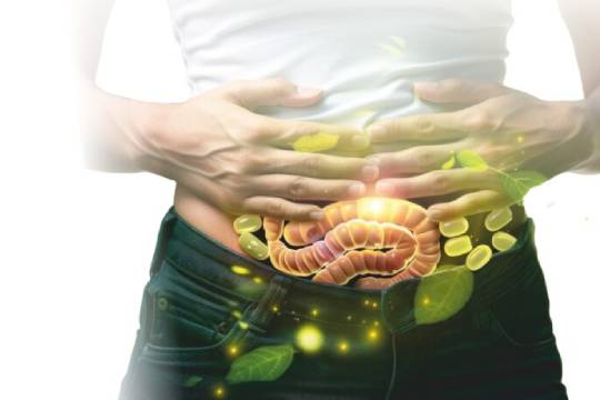Gastroenterology Range