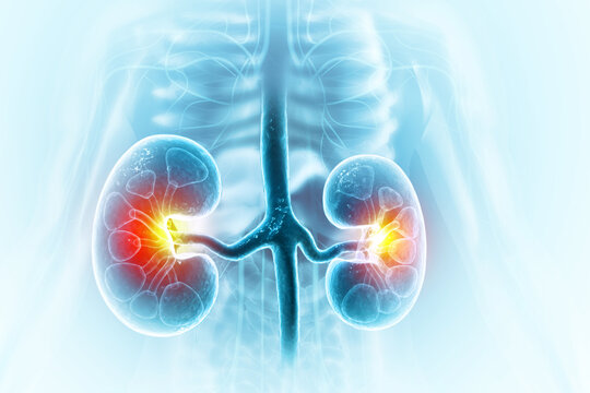 Urology Range